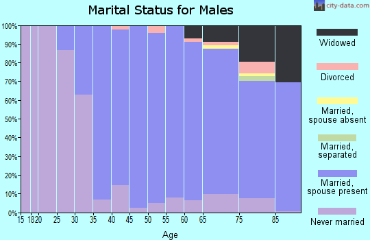 Zip code 10804 marital status for males