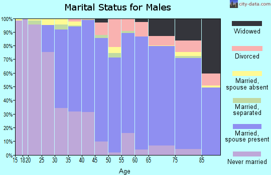Zip code 10901 marital status for males