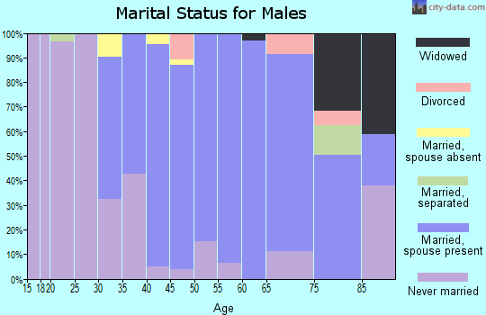 Zip code 10913 marital status for males