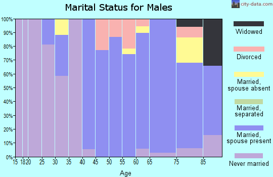 Zip code 10916 marital status for males