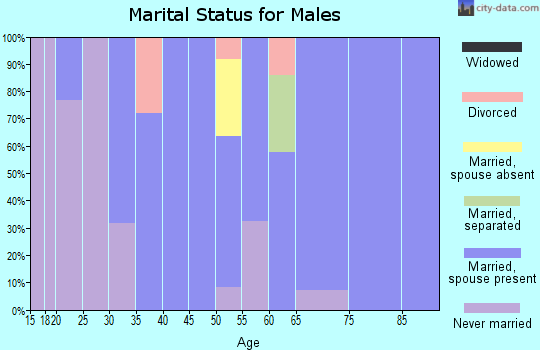 Zip code 10917 marital status for males