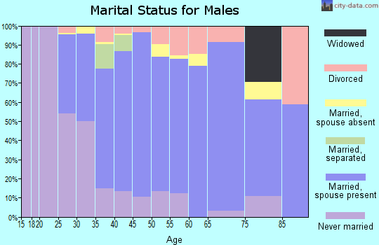 Zip code 10918 marital status for males