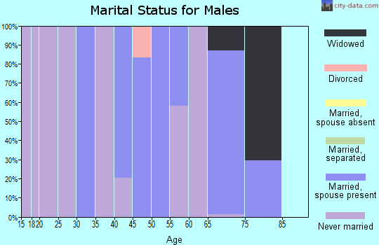 Zip code 10919 marital status for males