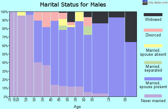 Zip code 10923 marital status for males