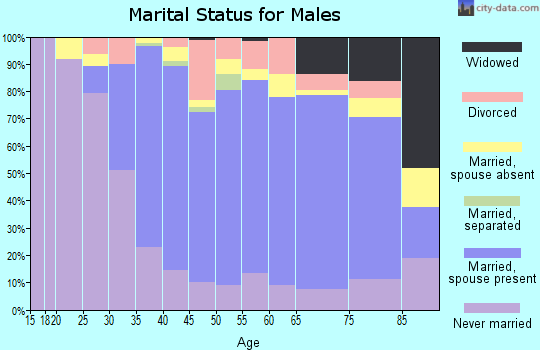 Zip code 10924 marital status for males