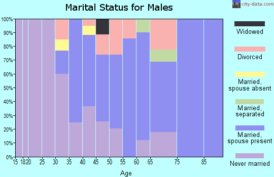 Zip code 10925 marital status for males