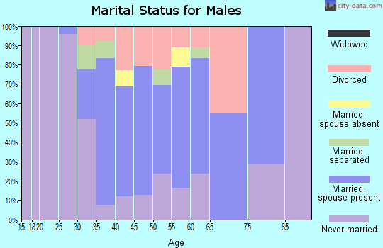 Zip code 10928 marital status for males