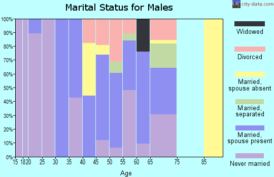 Zip code 10931 marital status for males