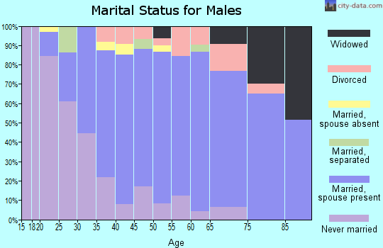 Zip code 10941 marital status for males