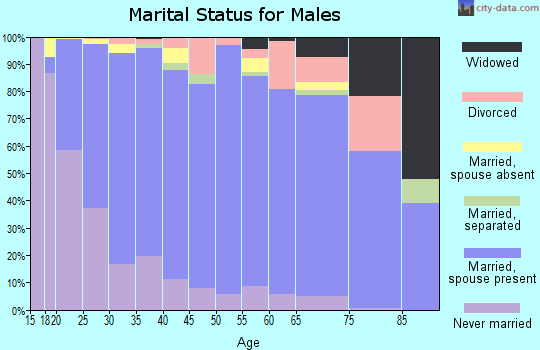 Zip code 10950 marital status for males