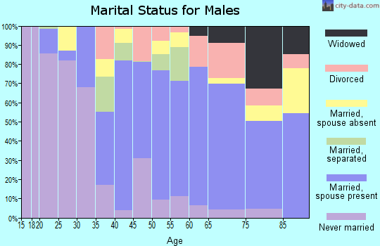 Zip code 10960 marital status for males