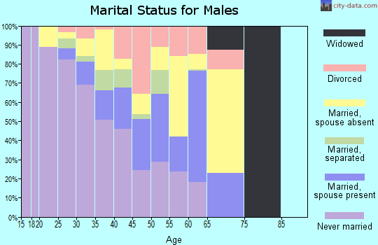 Zip code 10963 marital status for males