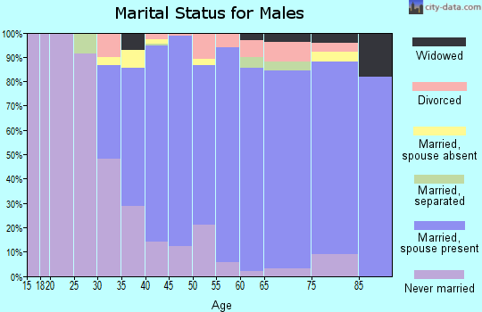 Zip code 10965 marital status for males