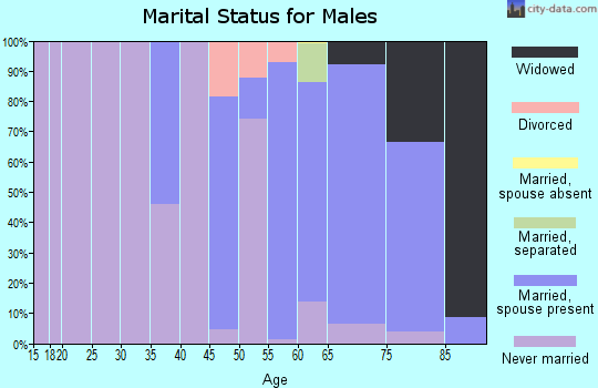 Zip code 10968 marital status for males
