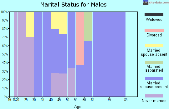 Zip code 10969 marital status for males