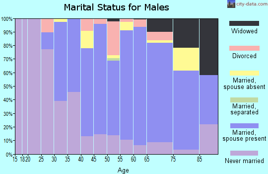 Zip code 10970 marital status for males