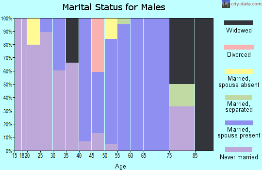 Zip code 10973 marital status for males