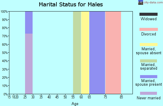 Zip code 10975 marital status for males