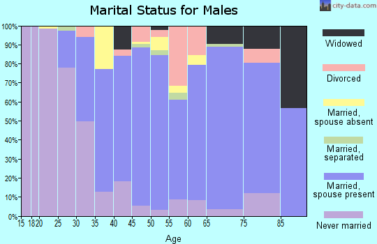 Zip code 10980 marital status for males