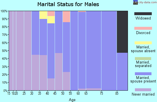 Zip code 10984 marital status for males