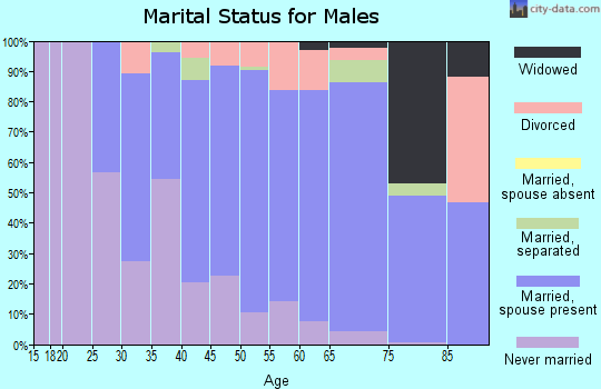 Zip code 10992 marital status for males