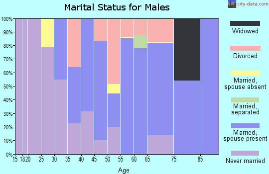 Zip code 10993 marital status for males