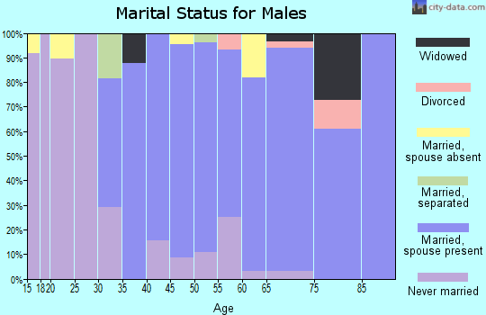 Zip code 10994 marital status for males