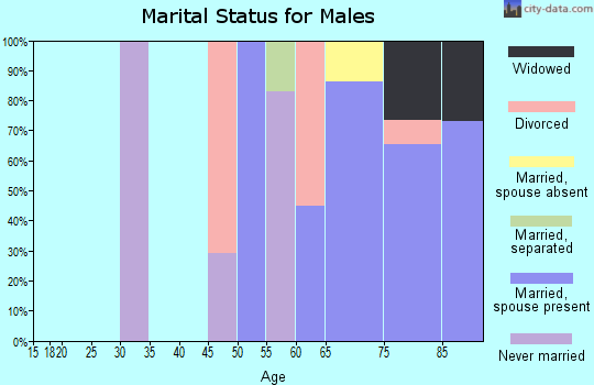 Zip code 11005 marital status for males
