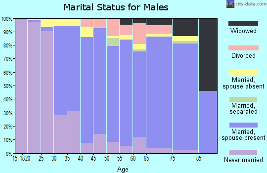 Zip code 11010 marital status for males