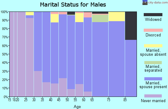 Zip code 11023 marital status for males