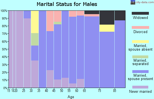 Zip code 11024 marital status for males