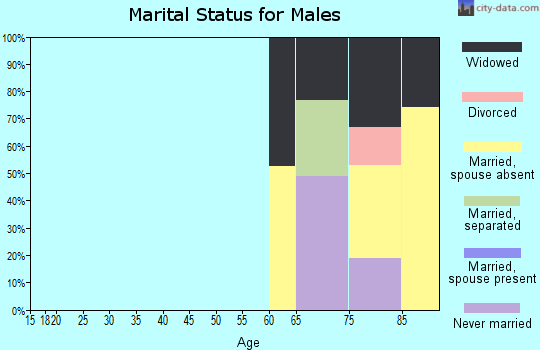 Zip code 11042 marital status for males