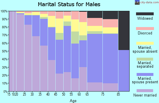 Zip code 11103 marital status for males