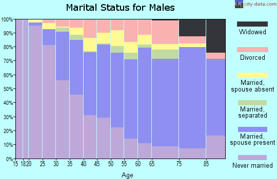 Zip code 11105 marital status for males