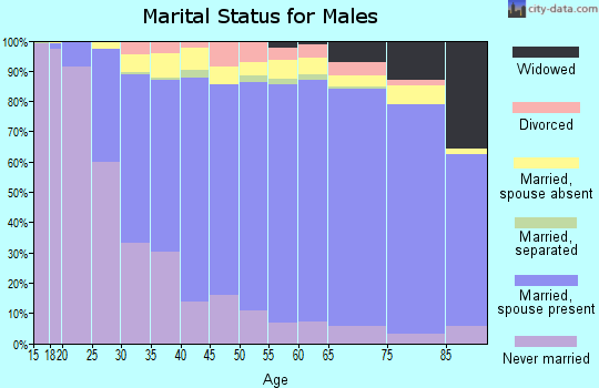 Zip code 11204 marital status for males