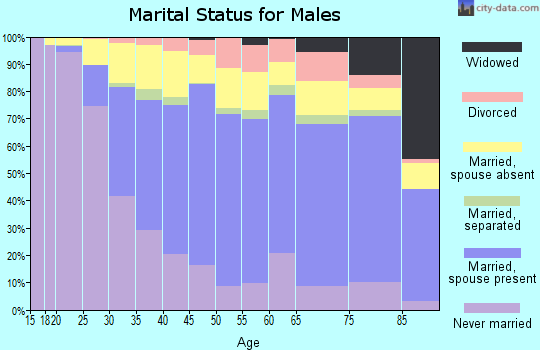 Zip code 11220 marital status for males