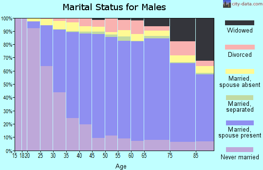 Zip code 11223 marital status for males