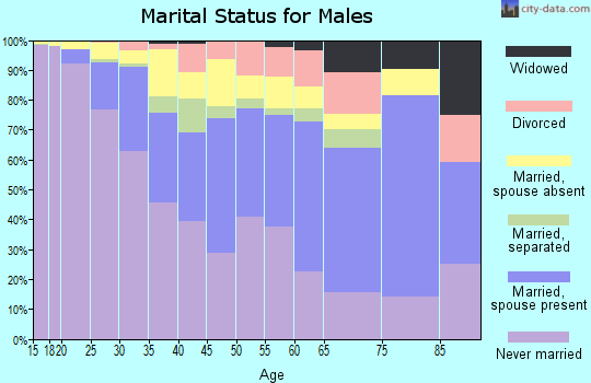 Zip code 11237 marital status for males
