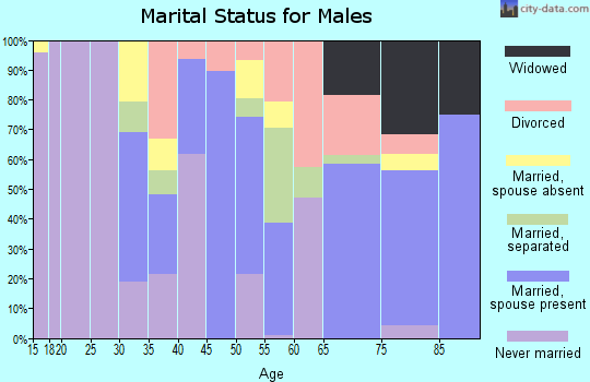Zip code 11239 marital status for males