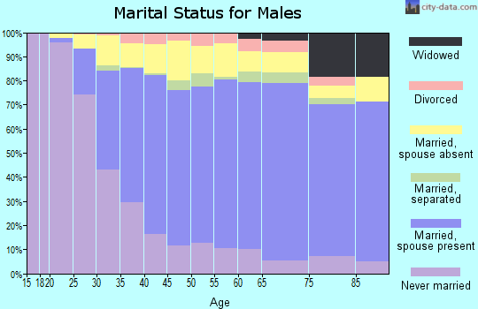 Zip code 11355 marital status for males