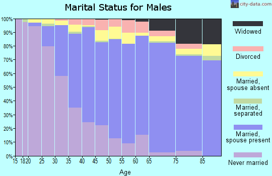 Zip code 11358 marital status for males