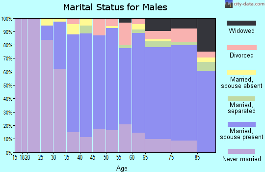 Zip code 11362 marital status for males