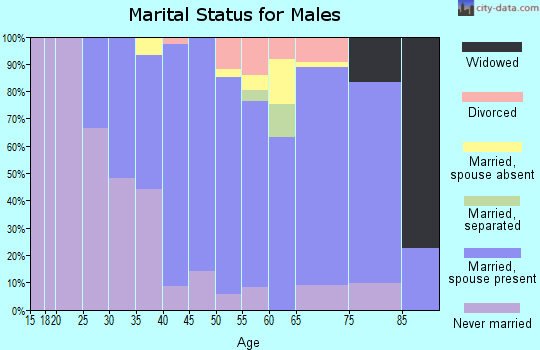 Zip code 11363 marital status for males
