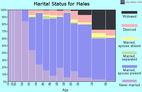 Zip code 11364 marital status for males