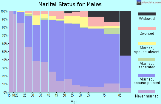 Zip code 11367 marital status for males