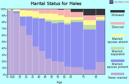 Zip code 11373 marital status for males