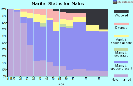 Zip code 11378 marital status