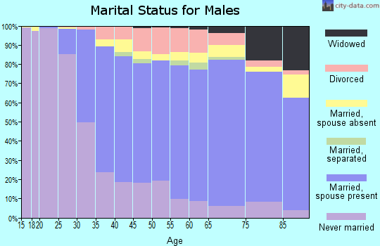 Zip code 11379 marital status for males