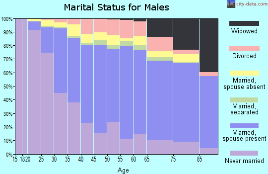 Zip code 11385 marital status for males