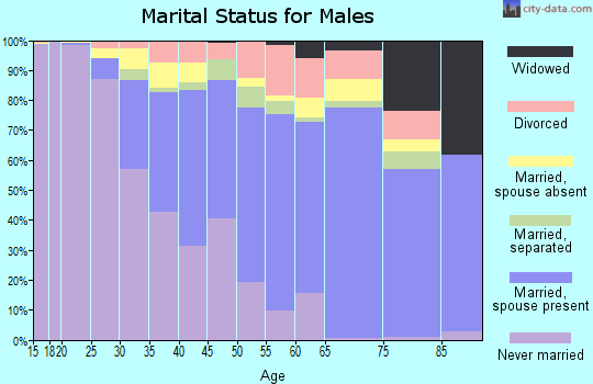 Zip code 11413 marital status for males